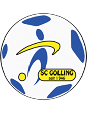 Голинг - Logo