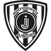 Independiente Juniors - Logo