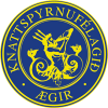 Aegir Thorlakshofn - Logo