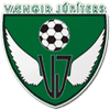 Вэнгирс - Logo