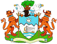 Фрийтаун Сити - Logo