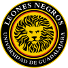 Leones Negros II - Logo