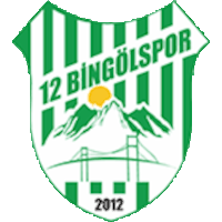 12 Bingölspor - Logo