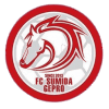 Сумида Гепро - Logo