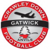 Crawley Down Gatwick - Logo
