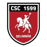 Виторул Селимбар - Logo