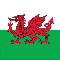 Wales U21 - Logo