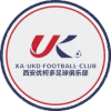 Сиан УКД - Logo
