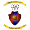 Наварро - Logo