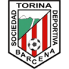 Торина - Logo
