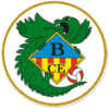 CE Banyoles - Logo