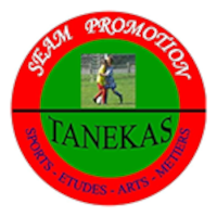 Танека - Logo