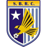 Somerset Eagles - Logo
