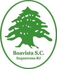 Boavista U20 - Logo
