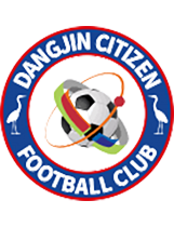 Танджин Ситизън - Logo