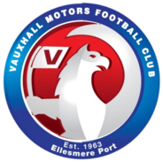 Воксъл Мотърс - Logo