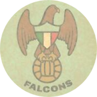 Toronto Falcons - Logo