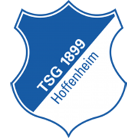 Hoffenheim U19 - Logo