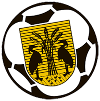 Рейгер Бойз (Ж) - Logo