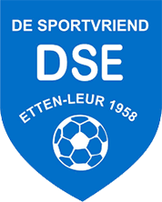DSE W - Logo