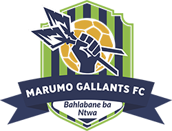 Marumo Gallants - Logo