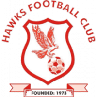 Hawks - Logo