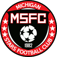 Michigan Stars - Logo
