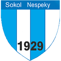 Sokol Nespeky - Logo