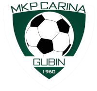 Carina Gubin - Logo
