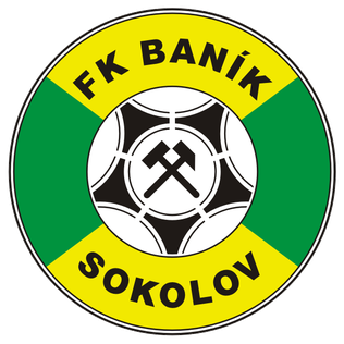 Баник Соколов - Logo