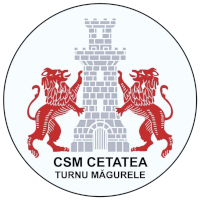 Dunarea Turris Turnu Magurele - Logo