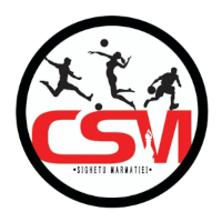 Sighetu Marmatiei - Logo