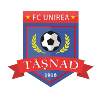 Unirea Tasnad - Logo