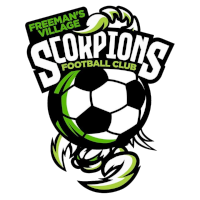 Village Scorpions - Logo