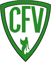 Вияновенсе - Logo
