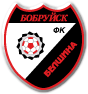 Belshina Bobruisk - Logo