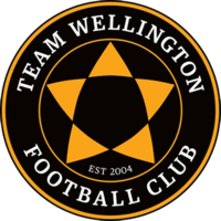 Team Wellington - Logo