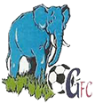 Giwa FC - Logo