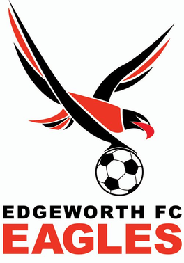 Edgeworth Eagles - Logo