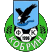 FK Kobrin - Logo