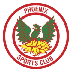 Феникс Спортс - Logo