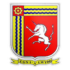 Cwmamman United - Logo