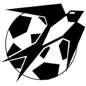 VV Zwaluwen - Logo