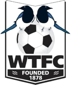 Wimborne Town - Logo