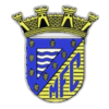 ФК Мортагуа - Logo