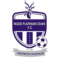 Нгези Платинъм Старс - Logo