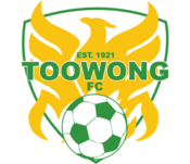 Тувонг Сити - Logo