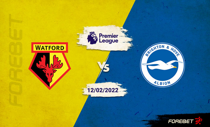 Watford Need Points Against Brighton & Hove Albion in Relegation Fight